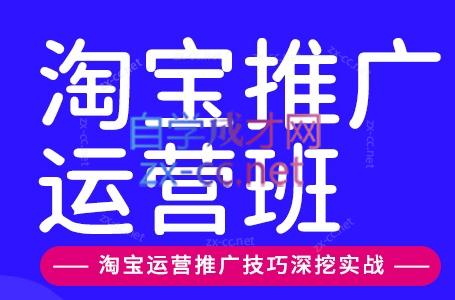 美迪电商·淘宝高级运营班+推广运营班(更新10月)-网创之家