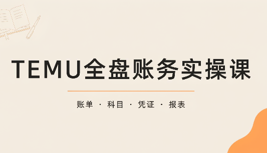 TEMU全盘账务实操课：账单导出、科目设置、利润核算-网创之家