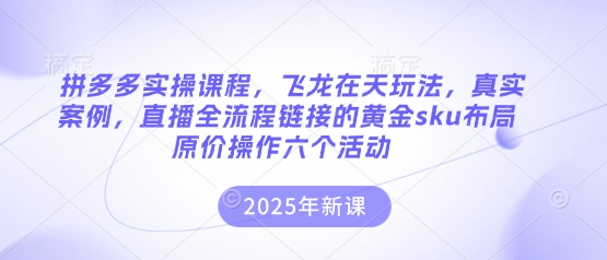 拼多多实操课程，飞龙在天玩法，真实案例，直播全流程链接的黄金sku布局原价操作六个活动-网创之家
