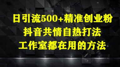 日引流500+精准创业粉，抖音共情自热打法，工作室都在用的方法-网创之家