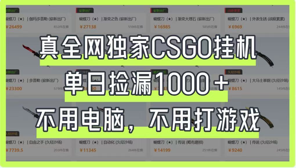 真全网独家CSGO挂机，单日捡漏1000+，不用电脑，不用养号-网创之家