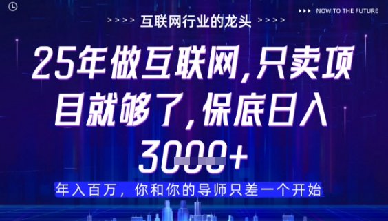 什么！25年你还在找项目做？风口早就变了，卖项目才是稳挣不赔【揭秘】-网创之家