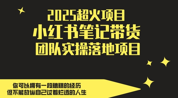 2025超火项目，副业最佳选择，小红书笔记带货团队实操落地项目，，轻松日入5张-网创之家
