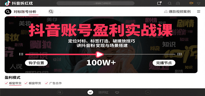 抖音账号盈利实战课，定位对标、标签打造、破播放技巧，讲涨粉变现与场景搭建-网创之家