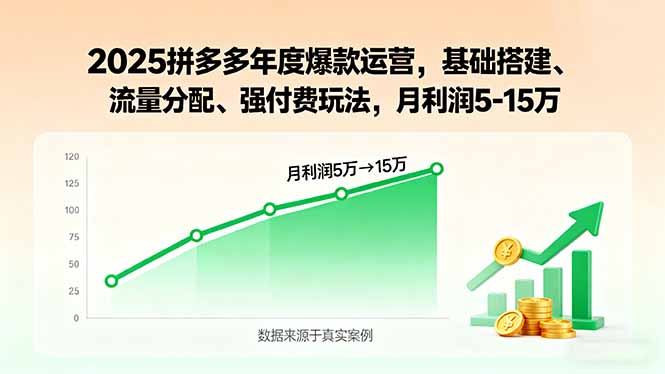 2025拼多多年度爆款运营，基础搭建、流量分配、强付费玩法，月利润5-15万-网创之家