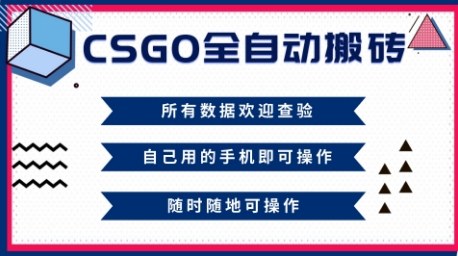 CSGO全自动搬砖，年底钱回家好项目，当天可拿到结果，新手小白轻松月入1W+【揭秘】-网创之家