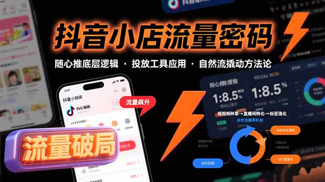 抖音小店流量密码，随心推底层逻辑，投放工具应用，自然流撬动核心方法论-网创之家