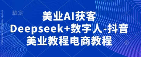 美业AI获客Deepseek+数字人-抖音美业教程电商教程-网创之家