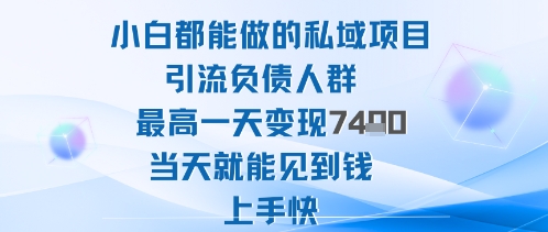 2025年小白都能做的私域项目引流负债人群最高一天变现1k+高变现难度低当天就能见到钱上手快-网创之家