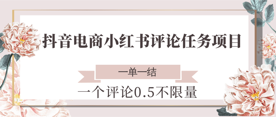 抖音电商小红书评论任务项目，一个评论0.5，一单一结 不限量-网创之家