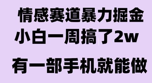 情感暴力掘金项目，新人操作一周挣了2W，长期稳定小白可做【揭秘】-网创之家