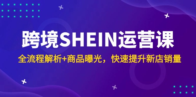 跨境SHEIN运营课，全流程解析+商品曝光，快速提升新店销量-网创之家
