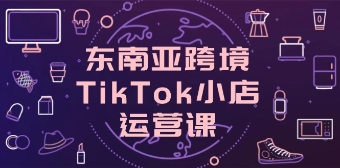 东南亚跨境TikTok小店运营课，掌握店铺设置与流量转化核心技巧-网创之家