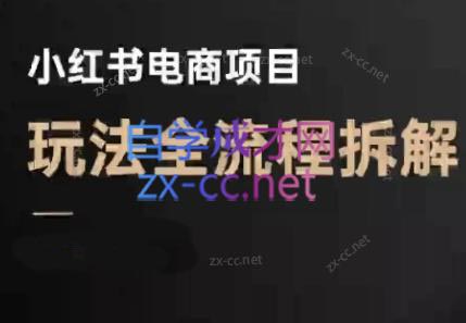 菲菲老师·小红书电商玩法(更新7月)-网创之家