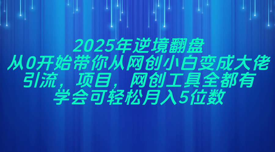 2025年逆境翻盘，从0开始带你从网创小白变成大佬，引流，项目，网创工...-网创之家