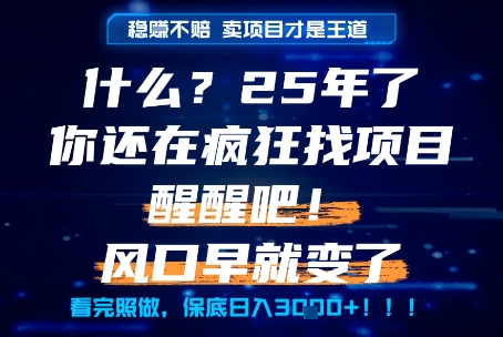 什么？25年你还在疯狂找项目做，醒醒吧，看完这些你全都懂了！【揭秘】-网创之家