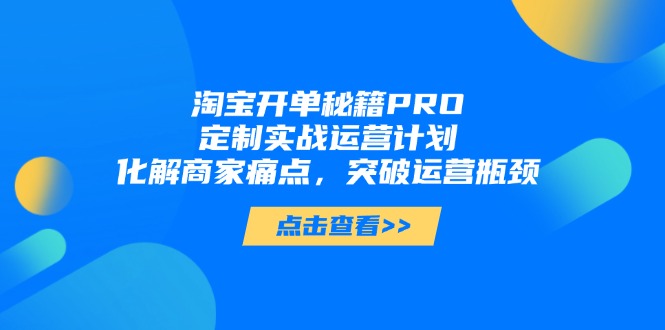 淘宝开单秘籍PRO，定制实战运营计划，化解商家痛点，突破运营瓶颈-网创之家