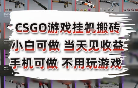 CSGO游戏挂G搬砖，小白纯手机即可操作，不用电脑打游戏，日入3张+，副业网创项目【揭秘】-网创之家