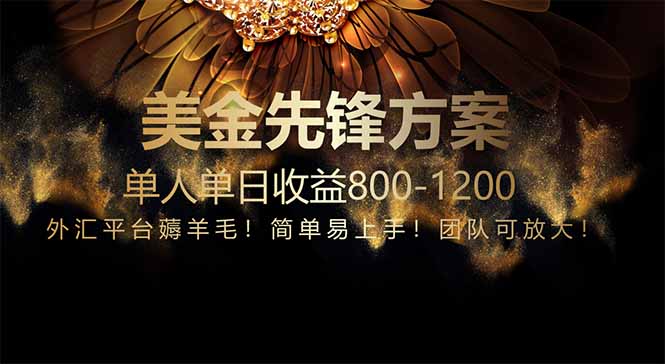 免费技术！小众赛道！一年布局抵三年努力，每日800+-网创之家