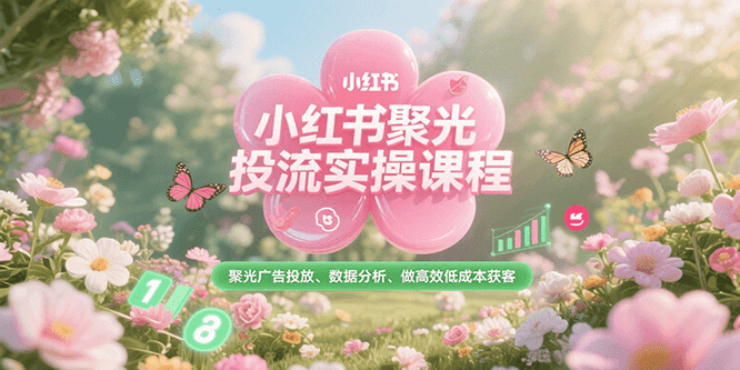 小红书聚光投流实操课程，聚光广告投放、数据分析、做高效低成本获客-网创之家