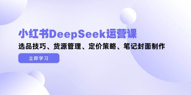 小红书DeepSeek运营课，选品技巧、货源管理、定价策略、笔记封面制作-网创之家