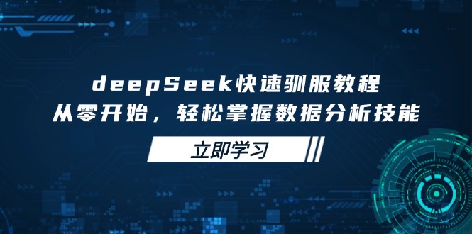 deepSeek快速驯服教程，从零开始，轻松掌握数据分析技能-网创之家