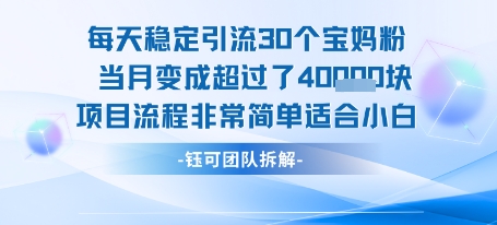 每天稳定引流30个人 当月变成超过了4个W项目流程非常简单适合小白-网创之家