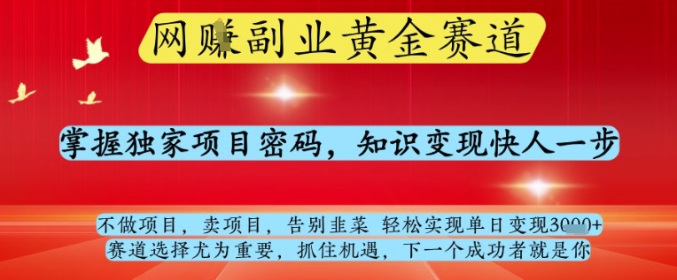 网创副业黄全赛道，掌握独家项目密码，知识变现快人一步，告别韭菜轻松实现单日变现1k+【揭秘】-网创之家