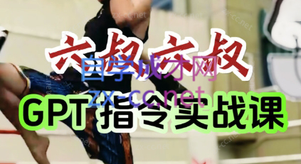 六叔的AI指令实战课(更新7月)-网创之家