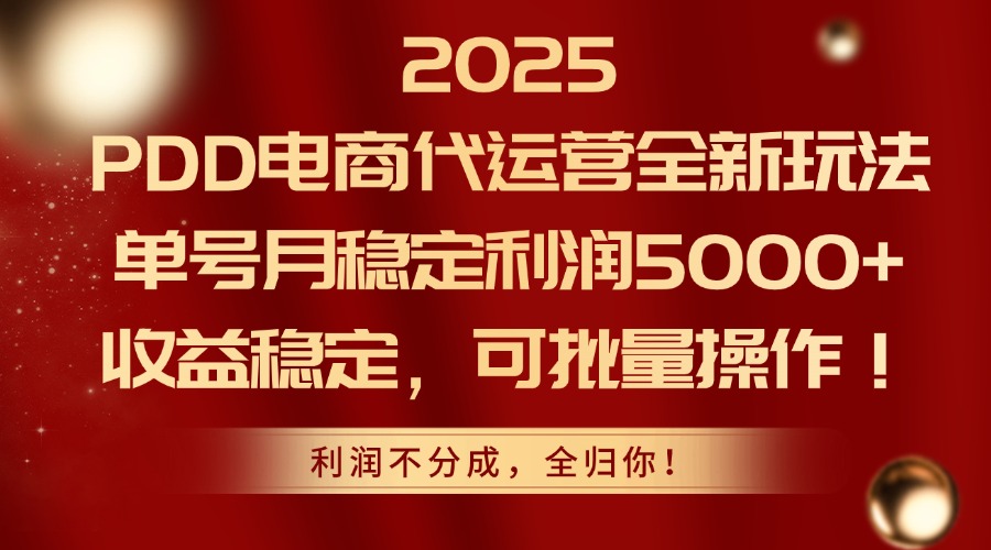 2025PDD电商代运营全新玩法，单号月稳定利润5000+，收益稳定，可批量操作-网创之家
