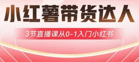 小红薯达人带货启航计划，3节直播课从0-1入门小红书-网创之家