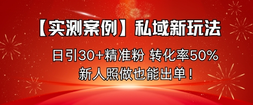 【实测案例】私域新玩法，日引30+精准粉，转化率50%，新人照做也能出单！-网创之家