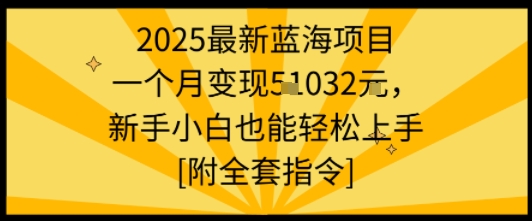 2025最新蓝海项目一个月变现1w+新手小白也能轻松上手【附全套指令】-网创之家