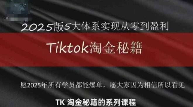 TikTok跨境2025淘金秘籍，​2025TikTok从0到盈利变现-网创之家
