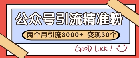 公众号精准粉引流玩法，2个月3000+精准粉，变现30个W【揭秘】-网创之家