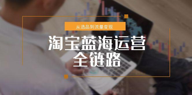 淘宝蓝海运营全链路，从选品到流量变现，小类目突围完整方案-网创之家
