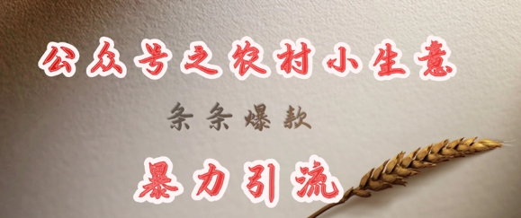 deepseek写农村小项目，条条爆款，暴力引流-网创之家