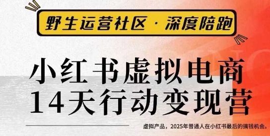 小红书虚拟电商14天变现训练营3.0，​虚拟产品，2025年普通人在小红书最后的搞钱机会-网创之家