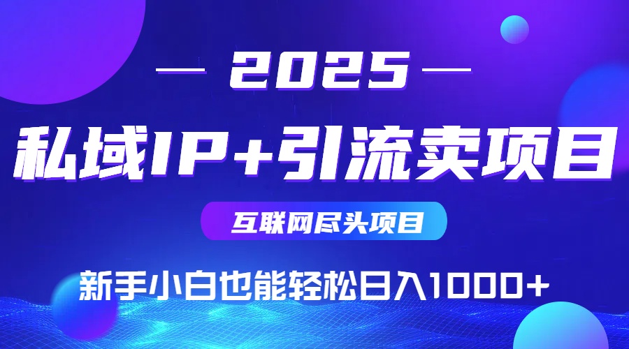 2025网创尽头项目，私域IP+引流，新手小白也能在家日入1000+-网创之家