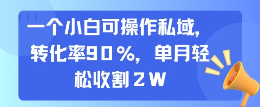 一个小白可操作私域，转化率90%，单月轻松收割2W-网创之家