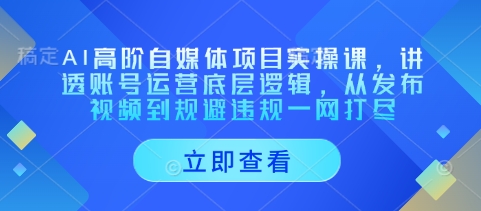 AI高阶自媒体项目实操课，讲透账号运营底层逻辑，从发布视频到规避违规一网打尽-网创之家