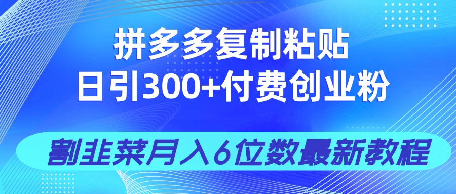 拼多多复制粘贴日引300+付费创业粉,割韭菜月入6位数最新教程!-网创之家