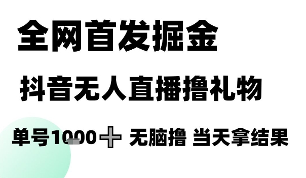 全网首发掘金抖音无人直播撸礼物，单号1k +无脑撸，当天拿结果【揭秘】-网创之家