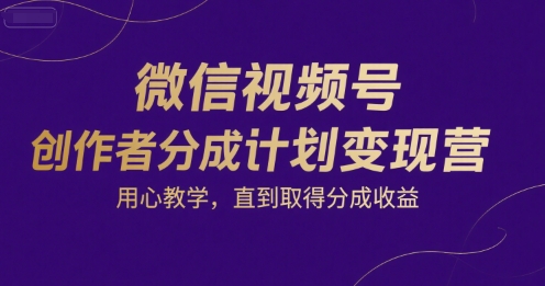 微信视频号创作者分成计划变现营，用心教学，直到取得分成收益-网创之家