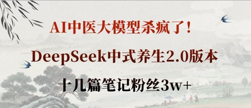 AI中医大模型杀疯了！DeepSeek中式养生2.0版本，十几篇笔记粉丝3w+-网创之家