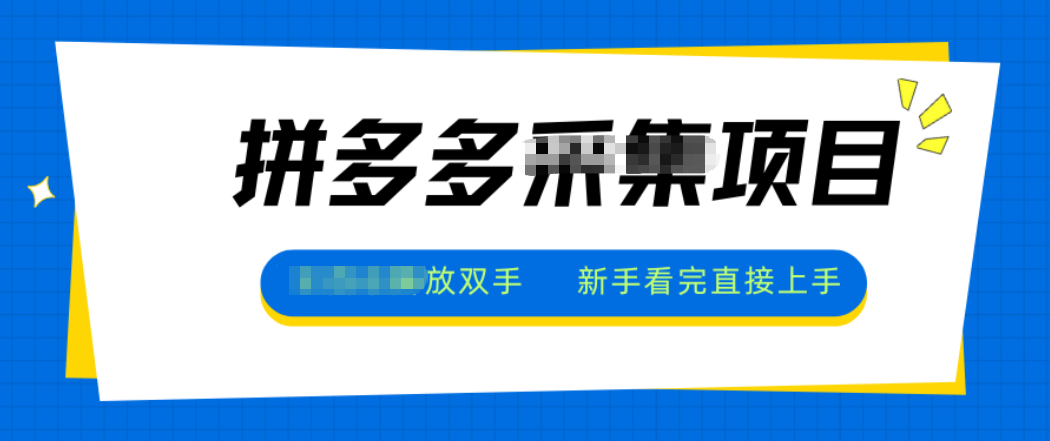 拼多多电商采集,一小时50+,操作简单,零投资-网创之家