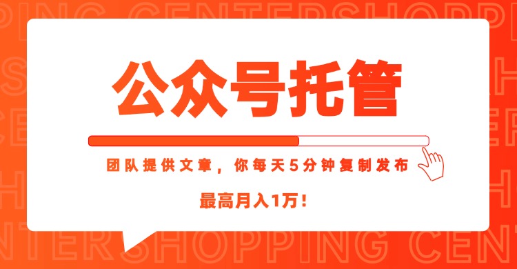 【公众号托管 】我提供文章，你每天５分钟复制发布，最高月入1W-网创之家