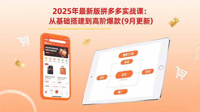 2025年最新版拼多多实战课：从基础搭建到高阶爆款(9月更新-网创之家