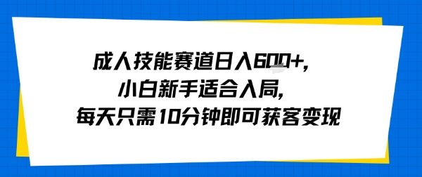 成人技能赛道日入多张，小白新手适合入局，每天只需10分钟即可获客变现-网创之家