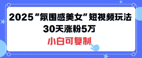 不露脸也能火！2025“氛围感美女”短视频玩法，30天涨粉5W小白可复制-网创之家